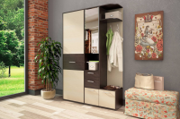 Прихожая Диана дуб феррара / дуб кремона